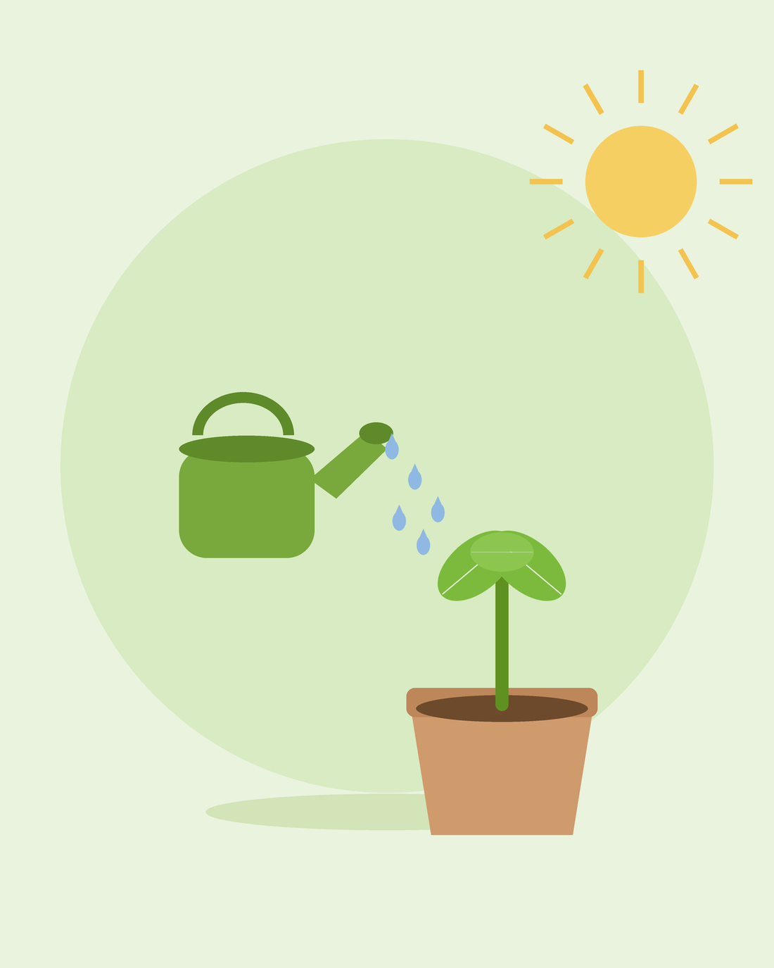Flat illustration of a green watering can watering a potted seedling — watering your garden, from SeedsChoice