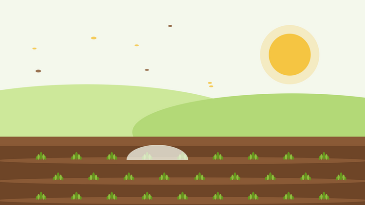 Autumn sowing hardy annuals — flat illustration of seed drills with young green rosettes under a fleece cloche and a low autumn sun