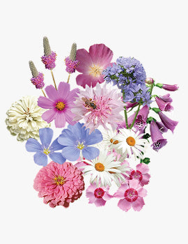 collection_image