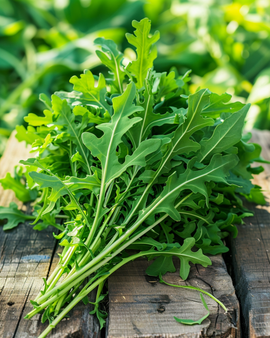 Wild Rocket Seeds Organic Diplotaxis Tenuifolia Vegetable Leaf Crop