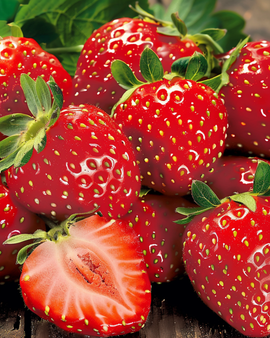 Strawberry Grandian F1 Seeds Fragaria Ananassa Annual