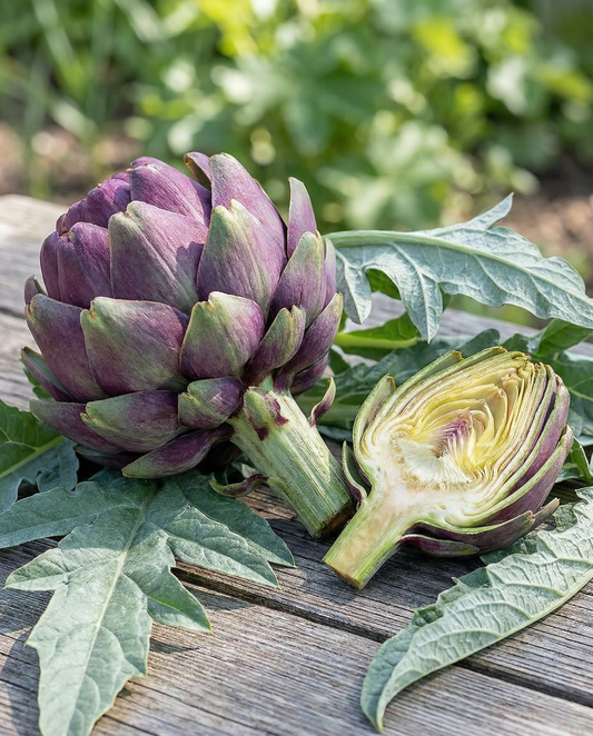 Artichoke Violet De Provence (Cynara cardunculus) – perennial vegetable seeds from SeedsChoice