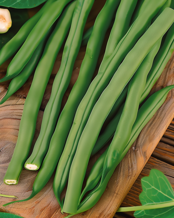 Dwarf French Bean Miracle seeds (Phaseolus vulgaris) – annual vegetable