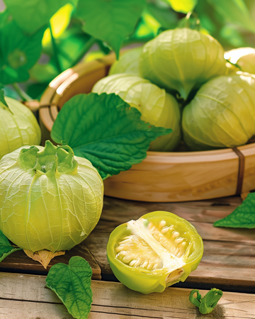 Tomatillo seeds (Physalis ixocarpa) – annual vegetable