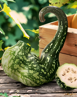 Speckled Swan Gourd Seeds Lagenaria Siceraria Annual Ornamental