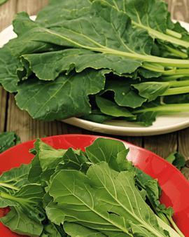 Komatsuna Seeds Brassica Rapa Mustard Spinach Vegetable