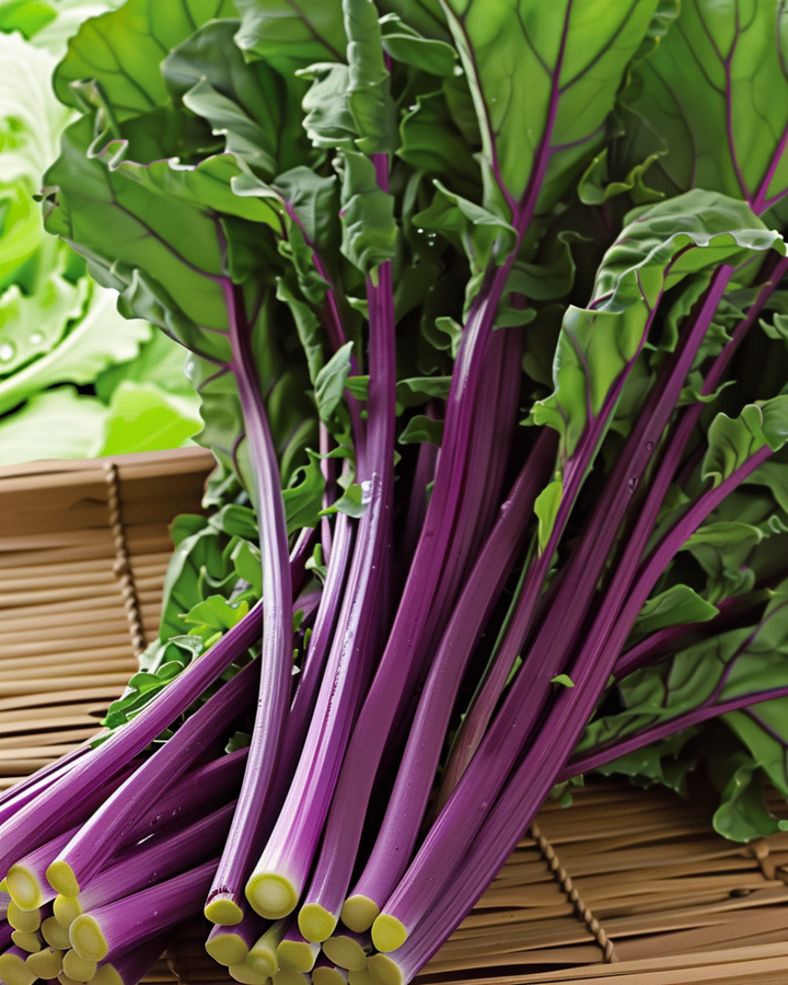 Hon Tsai Tai Purple Stems seeds (Brassica rapa) – annual