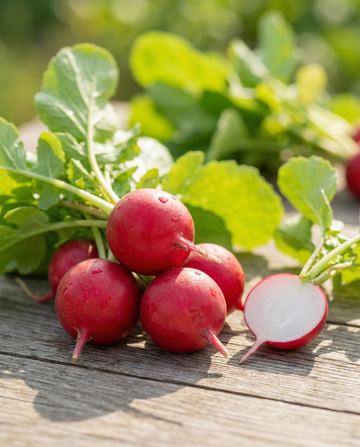 Radish Parat Pelleted (Raphanus sativus) – annual vegetable seeds from SeedsChoice