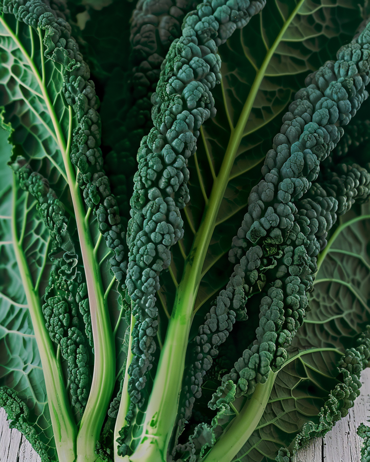 Kale Nero Di Toscana seeds (Brassica oleracea) – annual vegetable