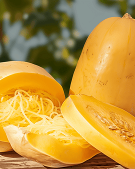 Spaghetti Squash Vegetable Spaghetti Seeds Cucurbita Pepo Annual Variety