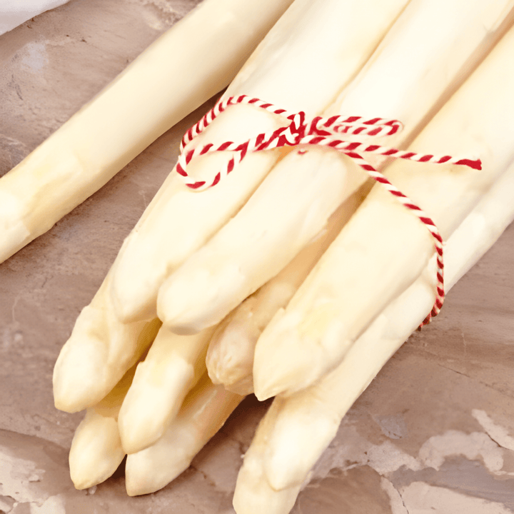 Argenteuil seeds (Asparagus officinalis) – perennial