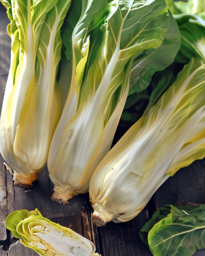 Brussels Chicory Videna seeds (Cichorium intybus) – biennial vegetable
