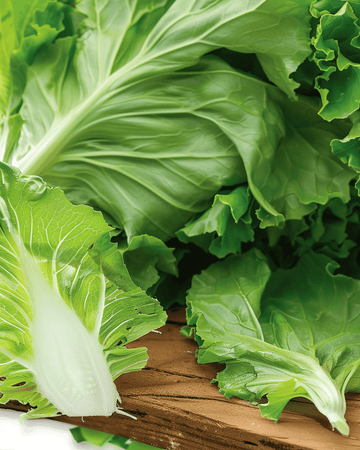 Sugarloaf Chicory seeds (Cichorium intybus) – annual vegetable