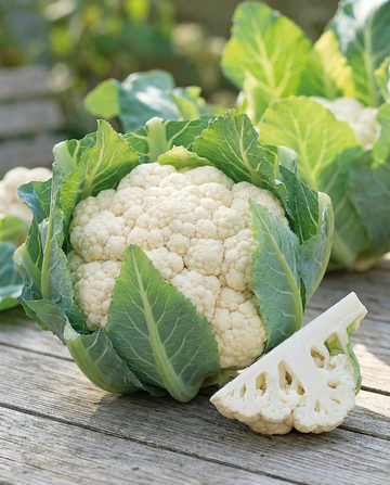 Cauliflower Walcheren Winter 5 Harvest (Brassica oleracea) – biennial vegetable seeds from SeedsChoice