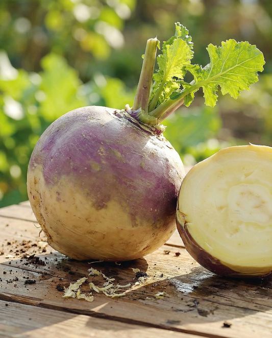 Swede Champion (Brassica napus) – annual vegetable seeds from SeedsChoice