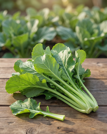 Namenia Greens (Brassica rapa) – annual vegetable seeds from SeedsChoice