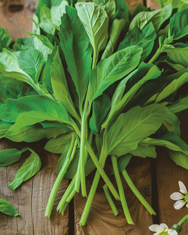 Corn Salad Seeds Valerianella Locusta Large Leaf Variety 25g
