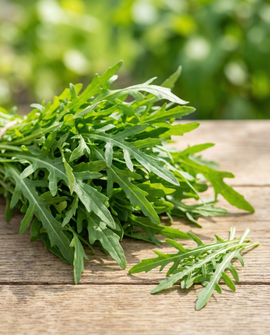 Wild Rocket Seed Tape Diplotaxis Tenuifolia Annual 7.5m Ribbon