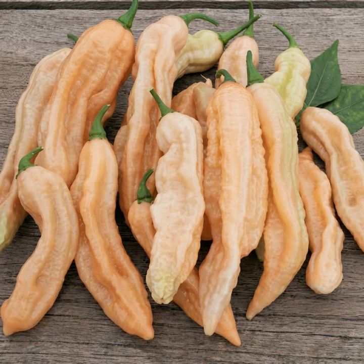 Dorset Pink Pepper seeds (Capsicum chinense) – annual vegetable