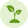 Microgreens & Sprouts
