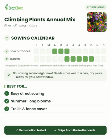 Sowing calendar for Climbing Plants Annual Mix in a temperate European climate: direct sow April to June, blooms June to October; seeds store well until the next sowing season