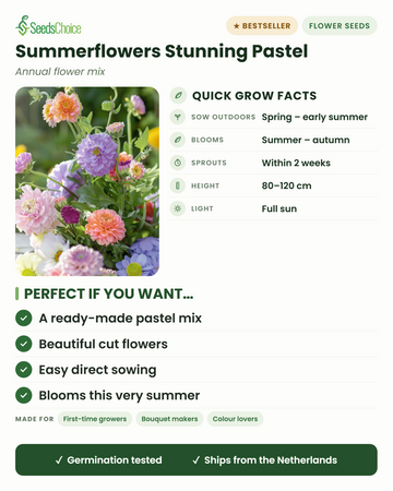 Summerflowers Stunning Pastel mix quick grow facts: direct sow spring to early summer, blooms summer to autumn, height 80-120 cm, full sun — a ready-made pastel cutting mix